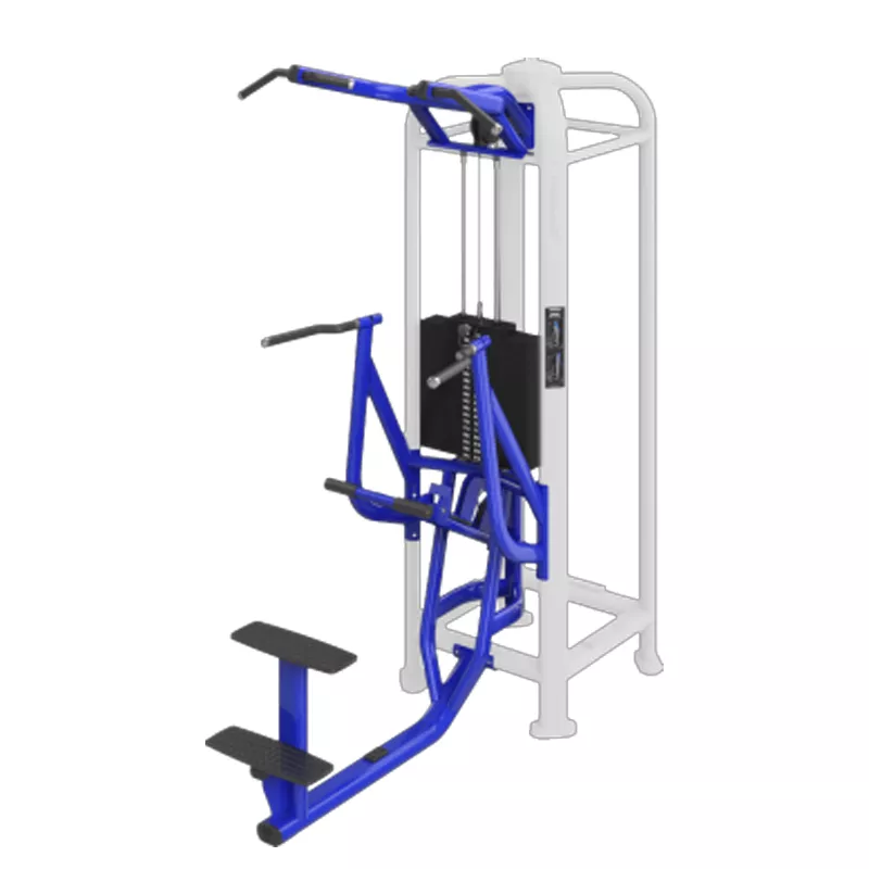 Rosen Direct factory supply quality fully guaranteed Free Combination Multi Function Jungle Assist Dip Chin