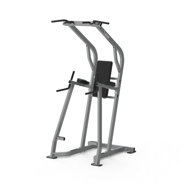 Rosen Hammer Strength Free Weights Workout Training Replica Chin/Dip/Leg Raise